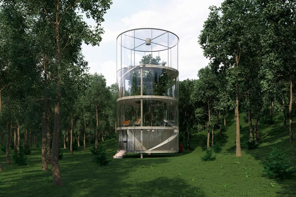 Arquitetos usam tecnologia para criar casa ao redor de árvore de forma integrada e sustentável