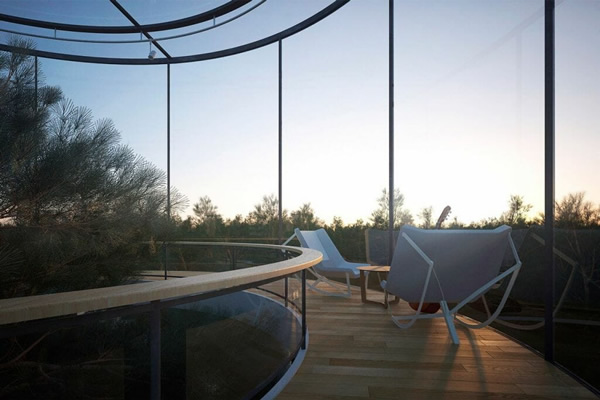 Arquitetos usam tecnologia para criar casa ao redor de árvore de forma integrada e sustentável